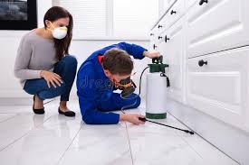 Indoor Pest Control in Auburn Lake Trails, CA